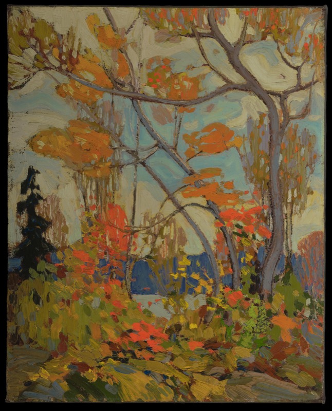 Autumn, Algonquin Park, Winter 1916–17 (1916-1917.05) | Catalogue